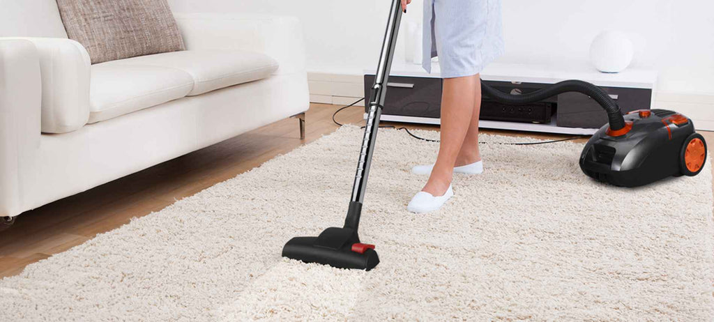 best vacuum cleaner for home wet and dry