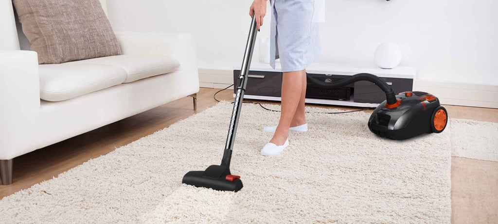 portable vacuum cleaner for home