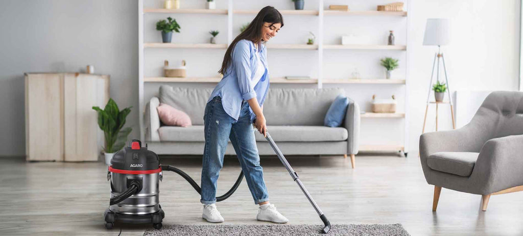 domestic vacuum cleaner