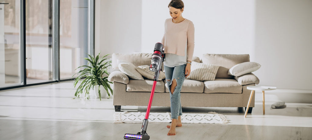 vacuum cleaner brush