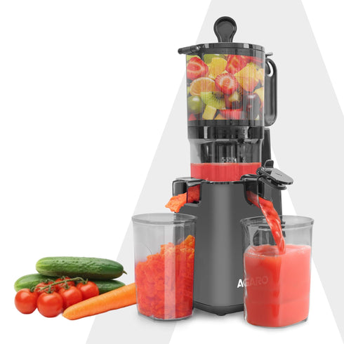 Regal Cold Press Slow Juicer, 250 Watt DC Motor, Easy Assembly & Cleaning, Auto Reverse, Advanced Safety Lock, Fruit & Vegetable Juicer & Nut Milk, Stainless Steel Filter, BPA Free Plastic
