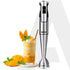 Regency Hand Blender, 600W, Variable Speed Modes & Speed Regulator, Stainless Steel Blades, Mixing, Blending, Whisking, Low Noise