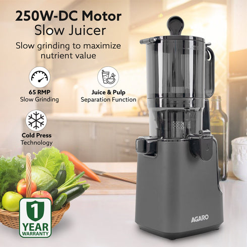 Regal Cold Press Slow Juicer, 250 Watt DC Motor, Easy Assembly & Cleaning, Auto Reverse, Advanced Safety Lock, Fruit & Vegetable Juicer & Nut Milk, Stainless Steel Filter, BPA Free Plastic