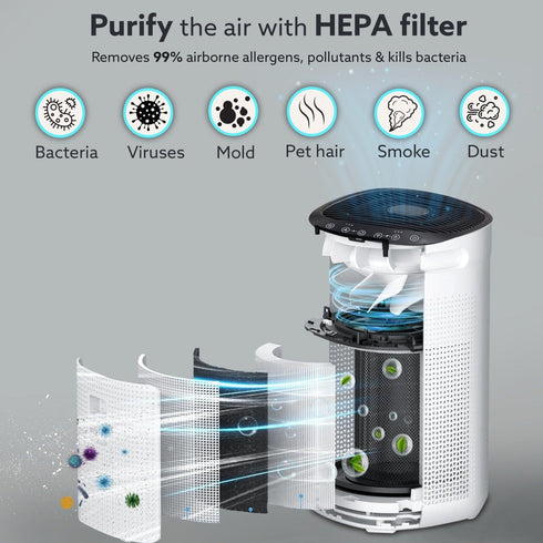 Royal HEPA Filter High performance, Traps 99% Dust, Bacteria, Allergens and Pollutants