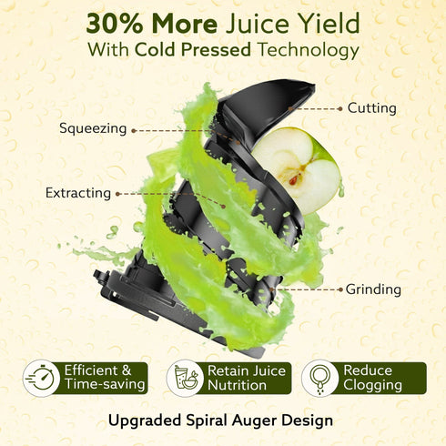 Regency Slow Juicer, 250 Watt AC Motor, Cold Pressed - Fruit, Vegetable Juicer & Nut Milks, Easy Assembly & Cleaning, Intelligent Safety Features & Auto Reverse, Stainless Steel Filter, BPA-Free