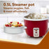 Elegant Electric Rice Cooker, 1L, 400W, Automatic Boiler, Steamer, Removable Aluminium Pot, Stainless Steel Lid, Keep Warm Function, Trivet Plate, Rice, Veggies, Red