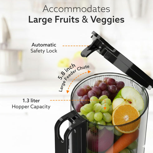 Regency Slow Juicer, 250 Watt AC Motor, Cold Pressed - Fruit, Vegetable Juicer & Nut Milks, Easy Assembly & Cleaning, Intelligent Safety Features & Auto Reverse, Stainless Steel Filter, BPA-Free