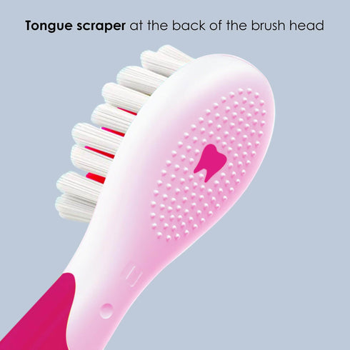 REX Brush Head Refill