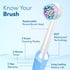 Cosmic Plus Oscillating Electric Toothbrush for Adults with Oscillating Technology