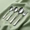 Elite 24 Pieces Stainless Steel Cutlery Set for Dining Table, Silver Mirror Finish Spoon & Fork Set, 6 Tea Spoons, 6 Dinner Spoons, 6 Dinner Forks & 6 Dessert Spoons, Food Grade, Dishwasher Safe
