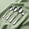 Elite 24 Pieces Stainless Steel Cutlery Set for Dining Table, Silver Mirror Finish Spoon & Fork Set, 6 Tea Spoons, 6 Dinner Spoons, 6 Dinner Forks & 6 Dessert Spoons, Food Grade, Dishwasher Safe