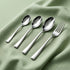 Elite 24 Pieces Stainless Steel Cutlery Set for Dining Table, Silver Mirror Finish Spoon & Fork Set, 6 Tea Spoons, 6 Dinner Spoons, 6 Dinner Forks & 6 Dessert Spoons, Food Grade, Dishwasher Safe