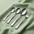 Elite 24 Pieces Stainless Steel Cutlery Set for Dining Table, Silver Mirror Finish Spoon & Fork Set, 6 Tea Spoons, 6 Dinner Spoons, 6 Dinner Forks & 6 Dessert Spoons, Food Grade, Dishwasher Safe