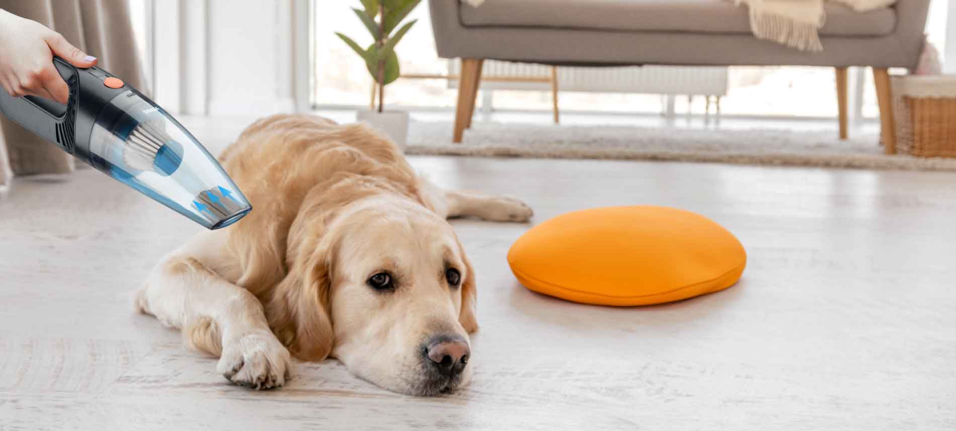 How to Remove Pet Hair With a Vacuum Cleaner: Expert Tips