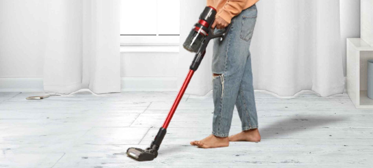 portable vacuum cleaner
