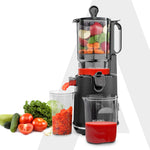 Regency Slow Juicer, 250 Watt AC Motor, Cold Pressed - Fruit, Vegetable Juicer & Nut Milks, Easy Assembly & Cleaning, Intelligent Safety Features & Auto Reverse, Stainless Steel Filter, BPA-Free