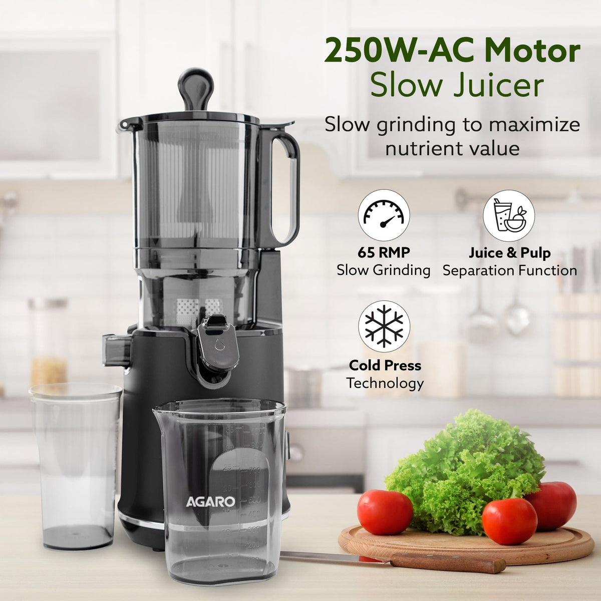 Regency Slow Juicer, 250 Watt AC Motor, Cold Pressed - Fruit, Vegetable Juicer & Nut Milks, Easy Assembly & Cleaning, Intelligent Safety Features & Auto Reverse, Stainless Steel Filter, BPA-Free