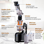 Royal Slow Juicer - Black | Best Cold press Slow juicer with 2 Jars, 3 Strainers