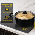 Elegant Non Stick  Biryani Pot with Glass Lid,  26 cm Diameter, 5.5L Capacity, Non Stick Coated Aluminium Pot, Side Handle, Gas & Induction Oven Compatible, Biriyani, Pulao