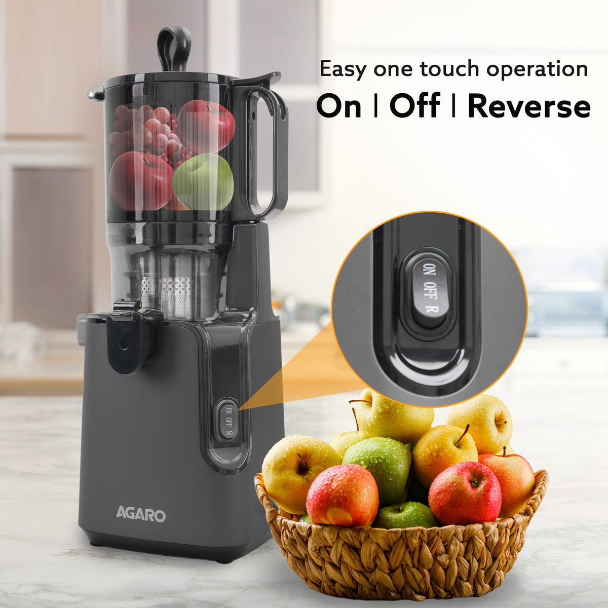 Regal Cold Press Slow Juicer, 250 Watt DC Motor, Easy Assembly & Cleaning, Auto Reverse, Advanced Safety Lock, Fruit & Vegetable Juicer & Nut Milk, Stainless Steel Filter, BPA Free Plastic