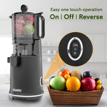 Regency Slow Juicer, 250 Watt AC Motor, Cold Pressed - Fruit, Vegetable Juicer & Nut Milks, Easy Assembly & Cleaning, Intelligent Safety Features & Auto Reverse, Stainless Steel Filter, BPA-Free