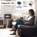 SALVO AG16 Security Safe, 1 Cubic Feet, 16 Litres Capacity